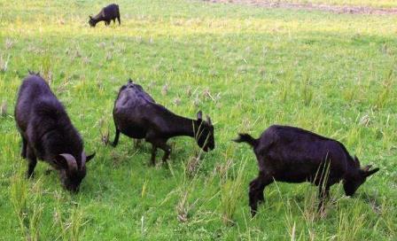 鲜为人知的海南故事